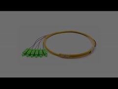 SC/APC 6コア バンド ファンアウト 光ファイバー 豚尾 シングルモード 9/125um イエロージャケット