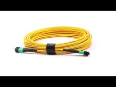 MPO/APC - MPO/APC 12芯 シングルモード OS2 ジャンパー