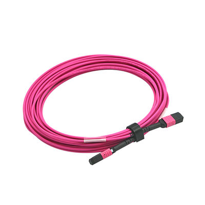 MTP Trunk Cable Assembly 2M Length with Corning ClearCurve® for High Bandwidth Data Transmission